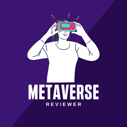 The Metaverse Reviewer